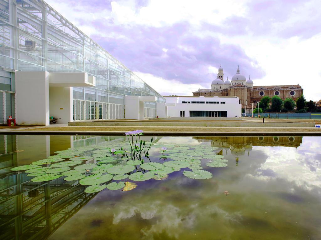Villa Pollini Torreglia Bagian luar foto