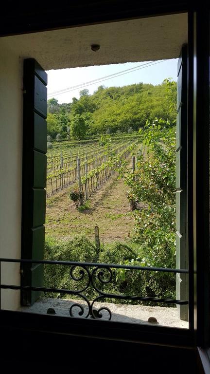 Villa Pollini Torreglia Bagian luar foto